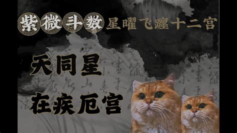 天刑疾厄宮|紫微斗數